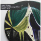 Vintage 1950s Inger Waage bird dish Stavangerflint