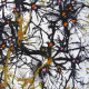 Vintage curtain with design like spidery neurons