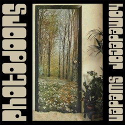 Vintage Swedish trees photo door mural 1970s