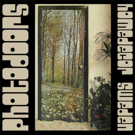 Vintage Swedish trees photo door mural 1970s